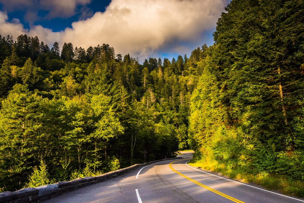 newfound gap road