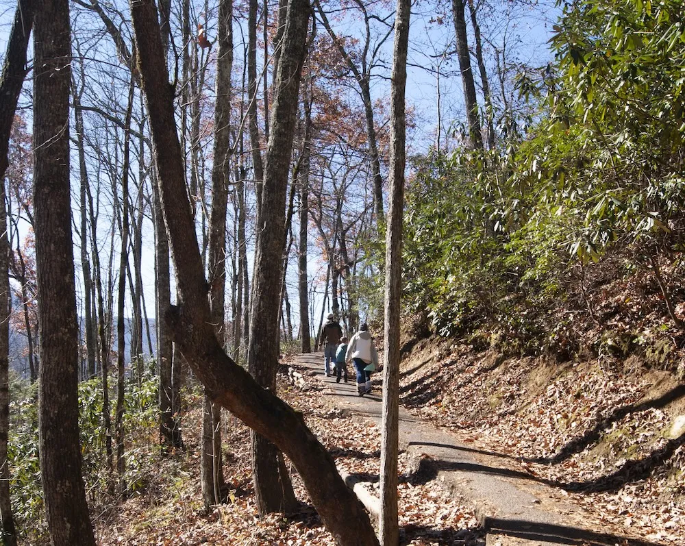 laurel falls trail