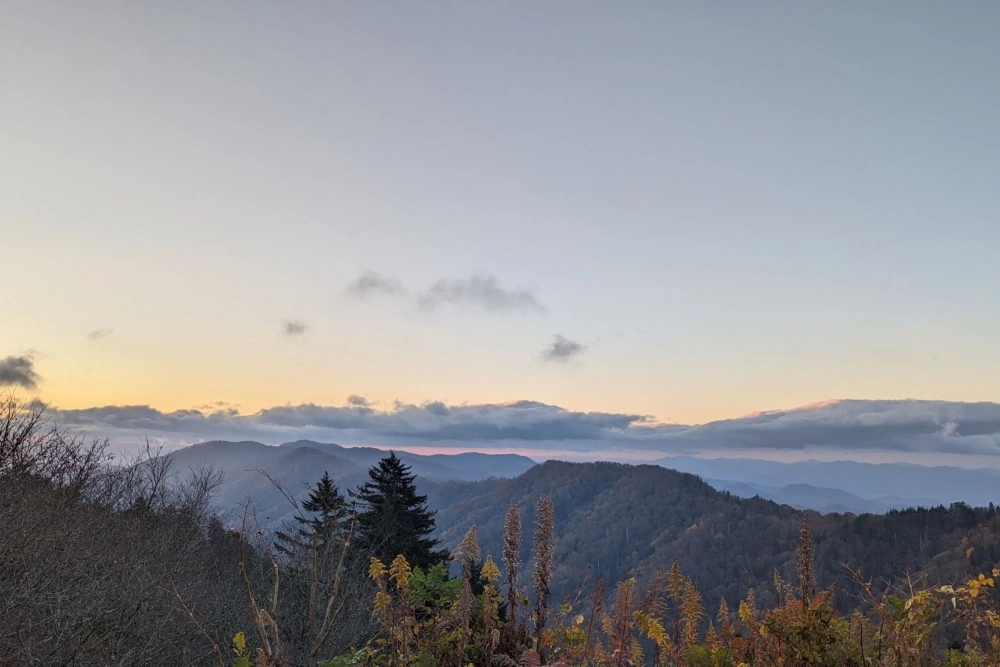 smokies fall foliage at charlies bunion