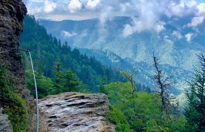 view of Smoky Mountains from Alum Cave Trail