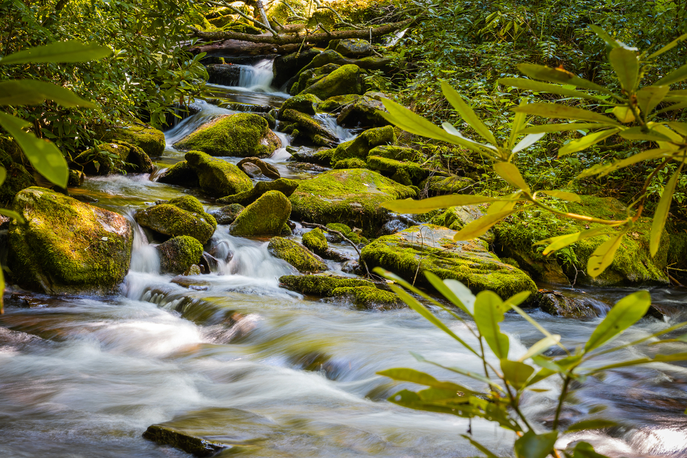 stream along boogerman trail