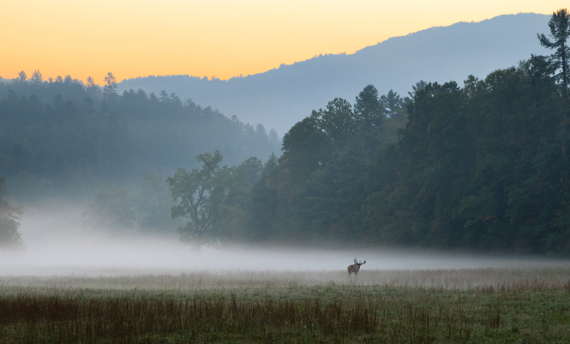 north carolina smoky mountains