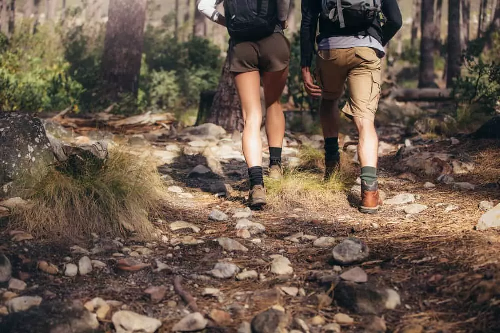 hikers walking through the Smokies