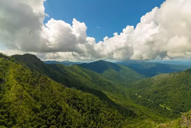 A,Beautiful,View,Of,The,Chimney,Tops,Hiking,Trail,In