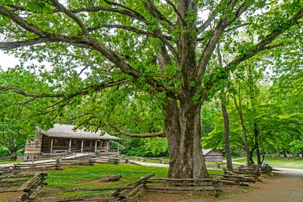 Cades Cove Visitor Center 