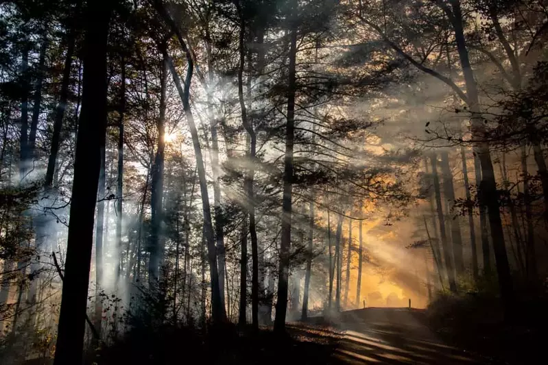 controlled burn in the Smoky Mountains