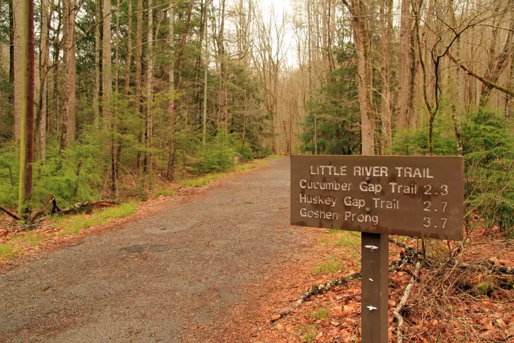 Little River Trail in the Smoky Mountains 