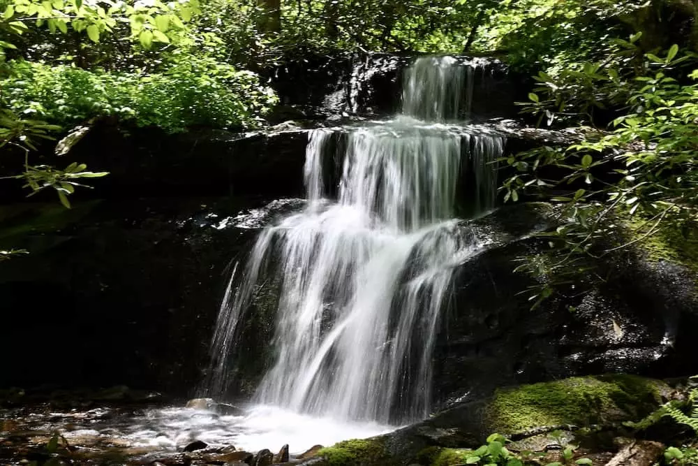 road turn branch falls