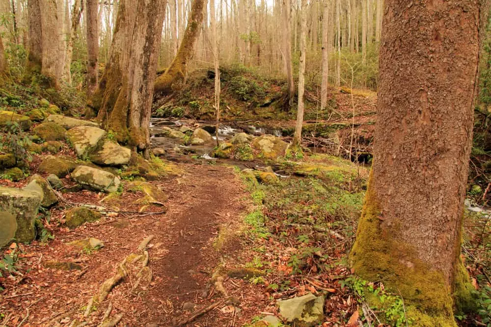 Elkmont Trail