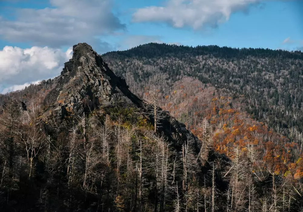 Chimney Tops