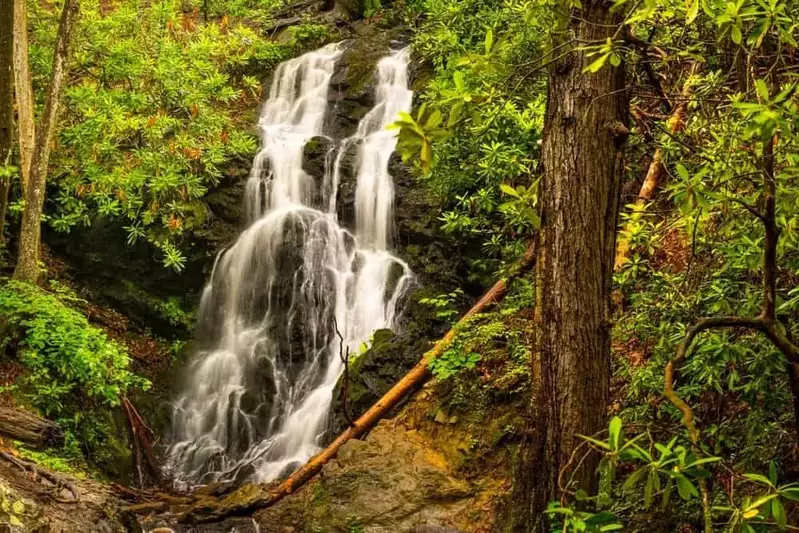 cataract falls in the great smoky mountains national park