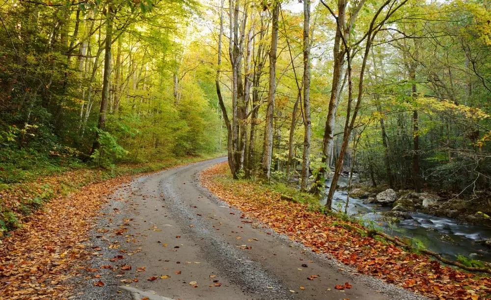 road at tremont