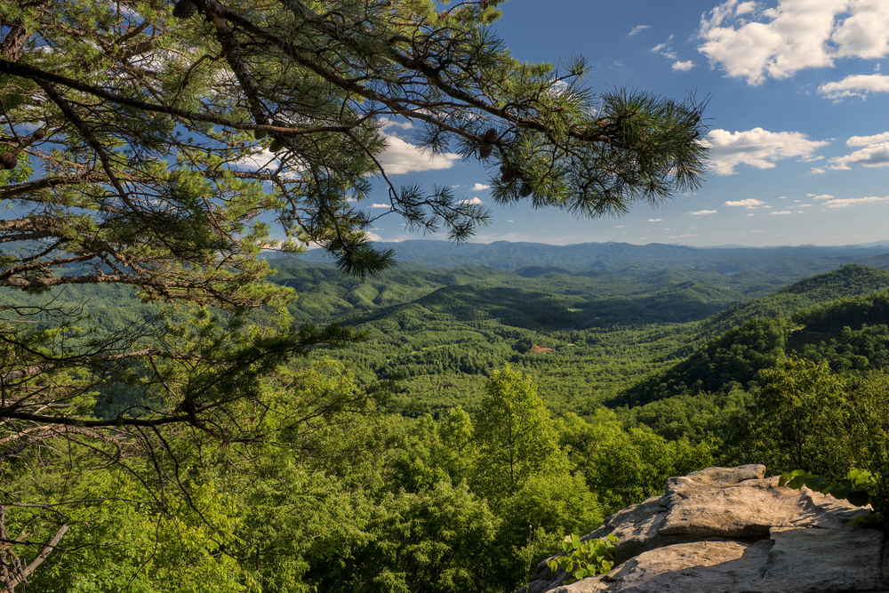 Look Rock in Great Smoky Mountains