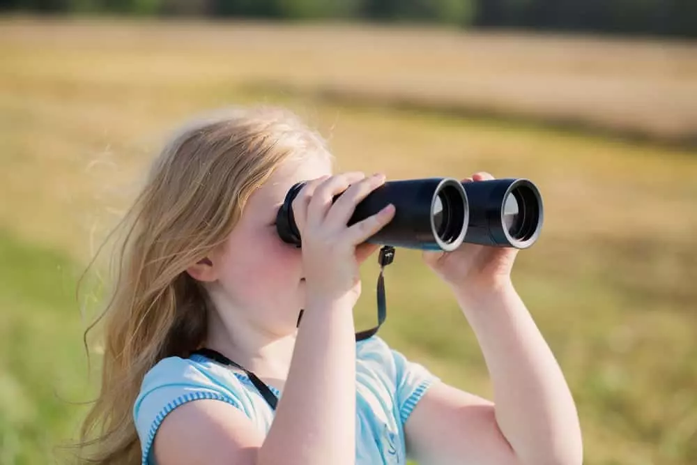 wildlife viewing