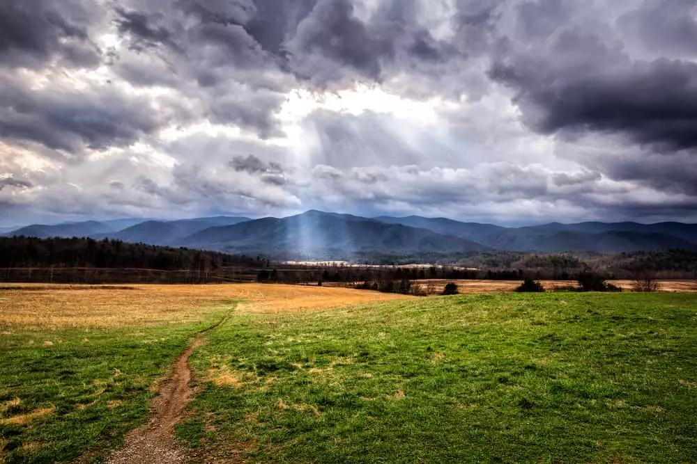 Cades Cove Field