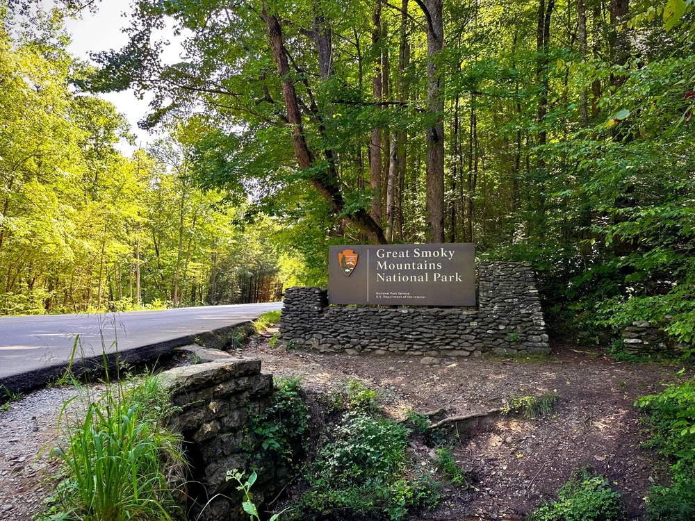 gsmnp sign