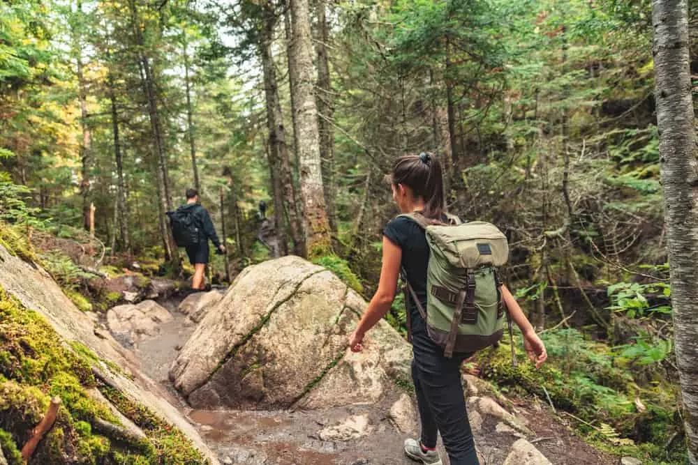 hikers walking through the Smokies