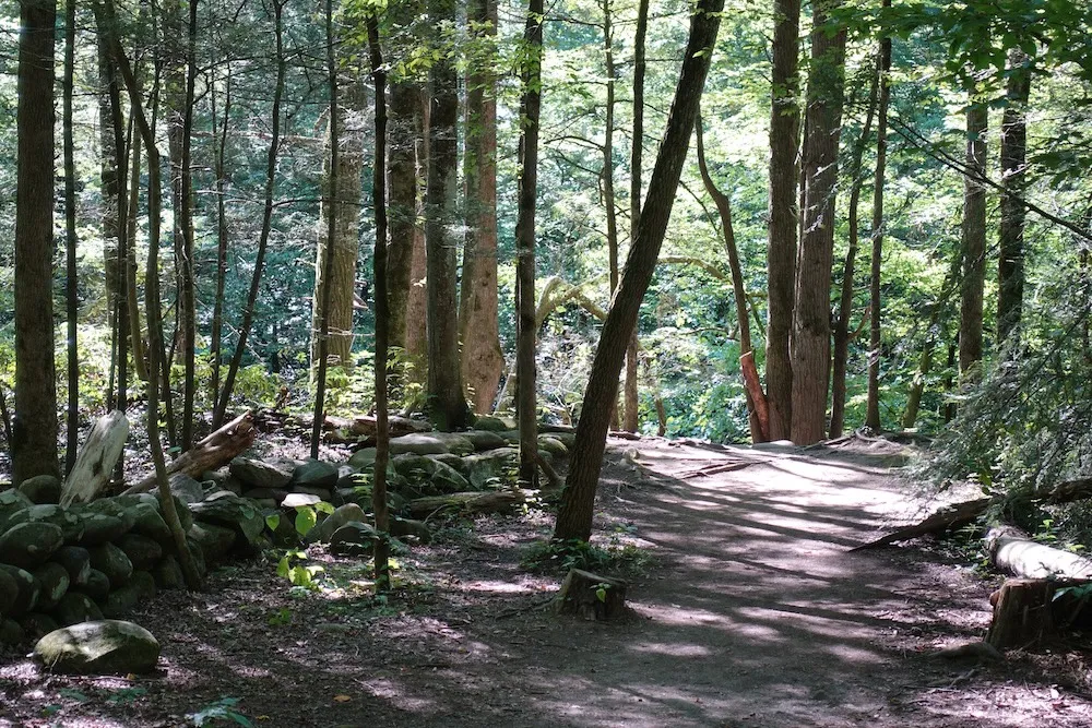 gatlinburg trail is one of the best kid friendly Smoky Mountain hiking trails