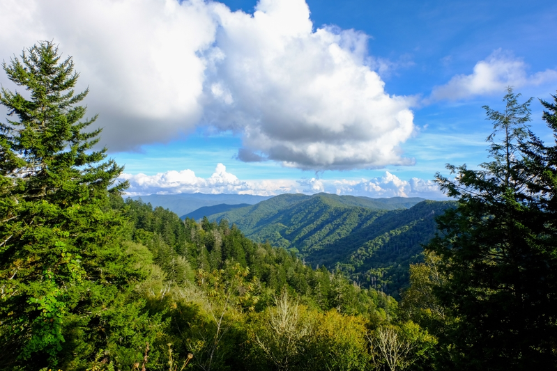 view of the Smokies