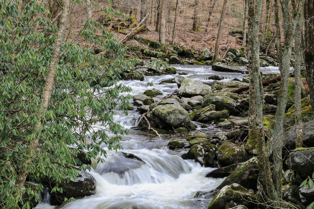 Lynn Camp Falls