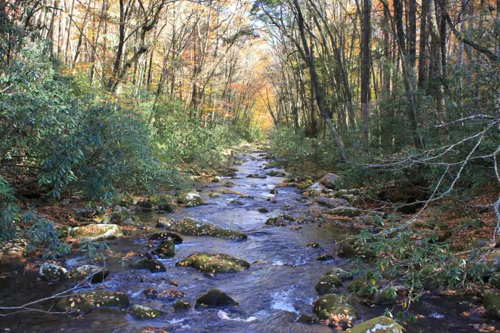 hiking trail by the river in the Smoky Mountains 