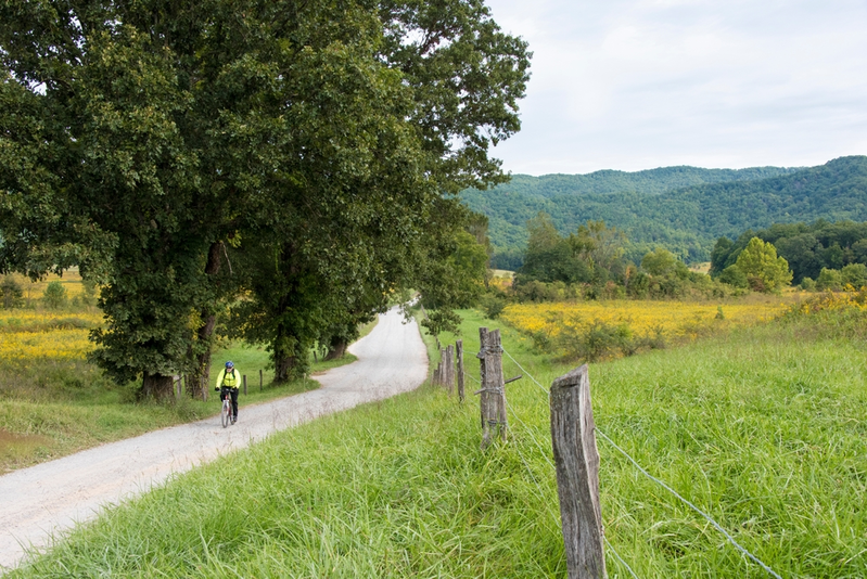biking the cades cove loop