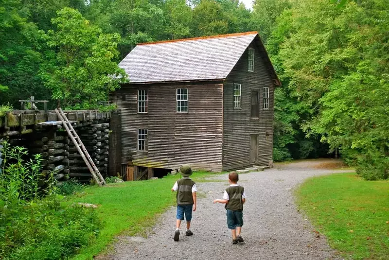 junior rangers walking along a trail in the great smoky mountains national park