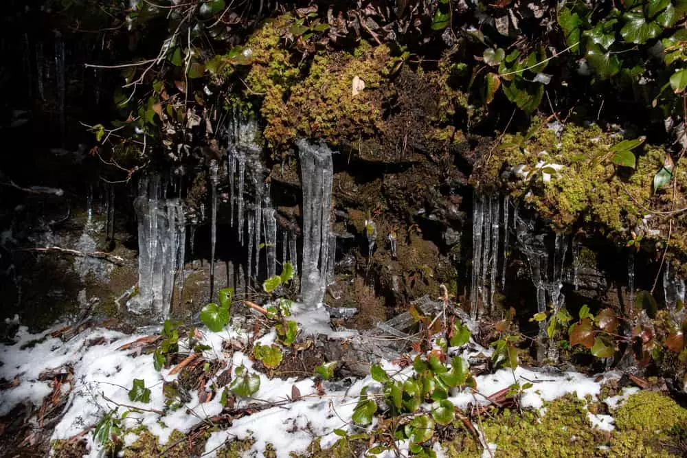 Alum Cave Trail in the Smoky Mountains