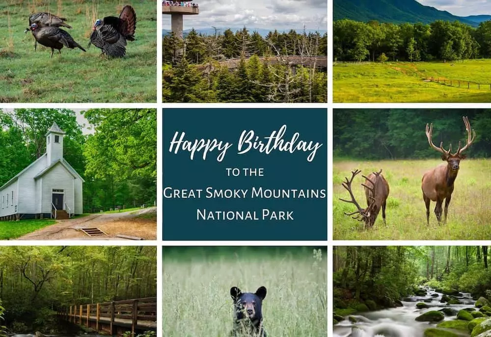 Great Smoky Mountains National Park Happy Birthday