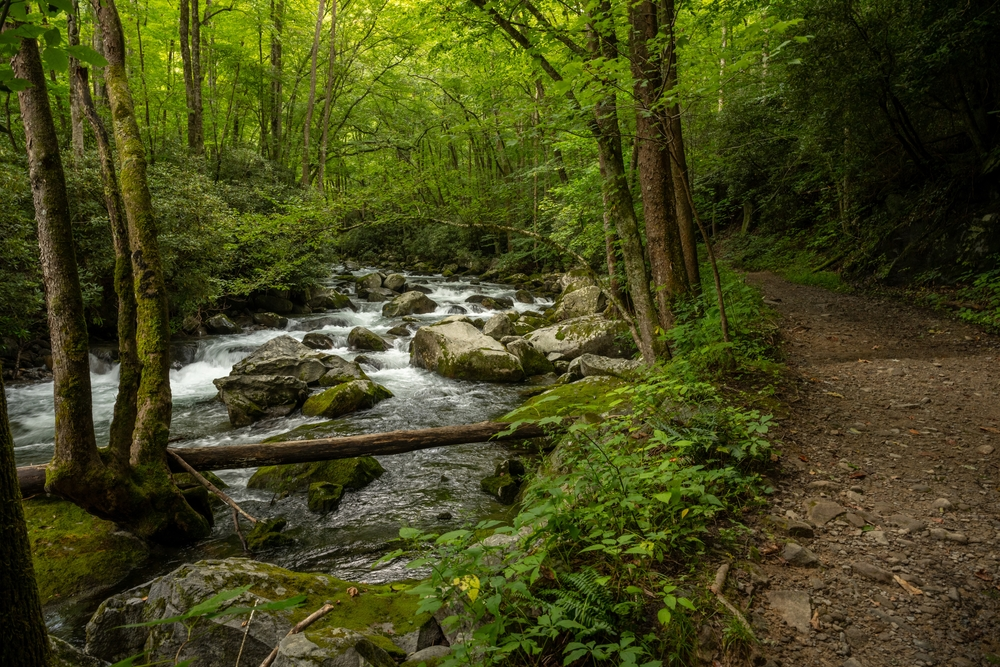 big creek trail