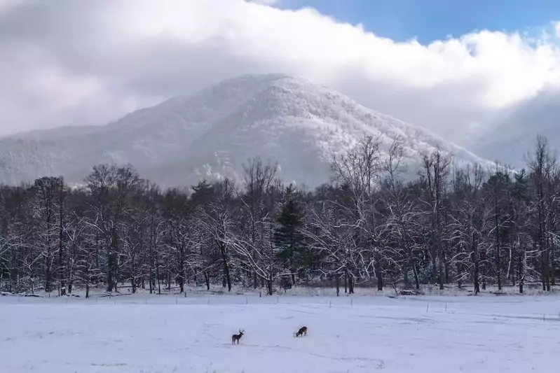 Cades Cove winter