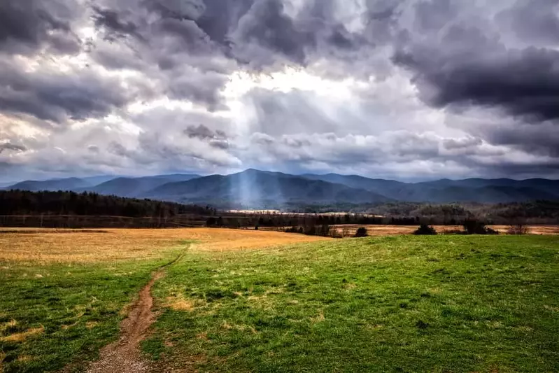 Cades Cove Field