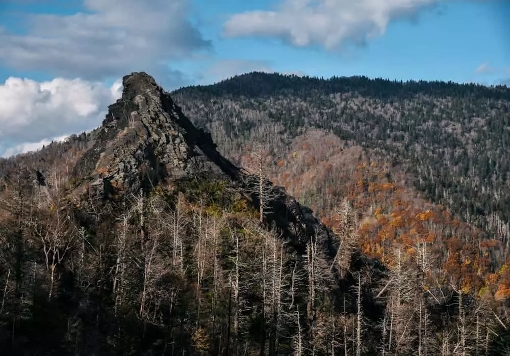 chimney tops