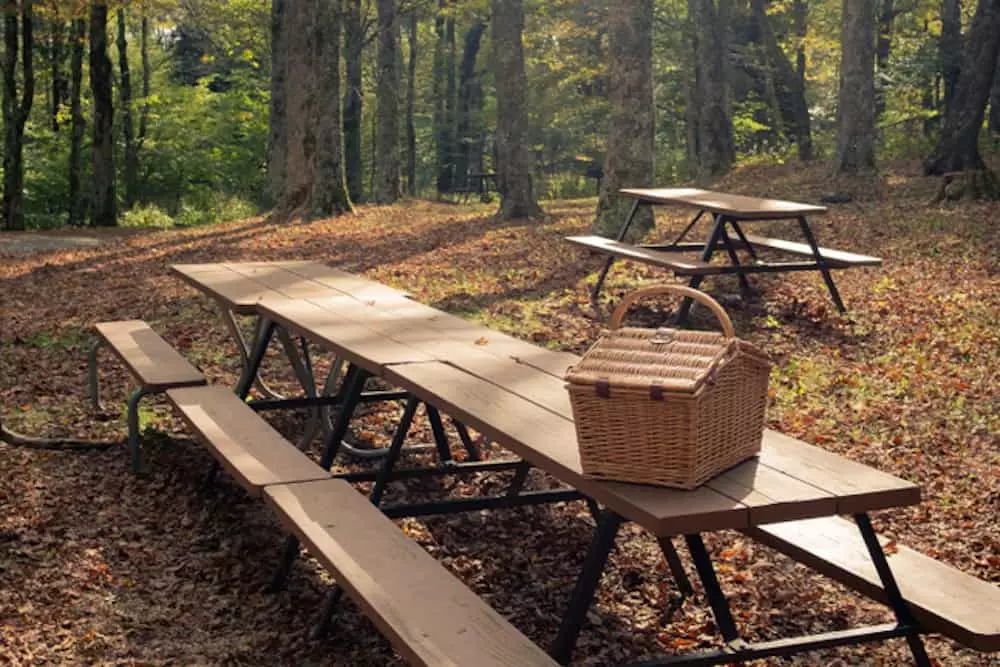 picnic table