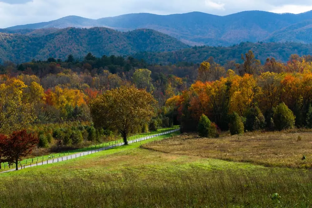 Cades,Cove,Smoky,Mountains