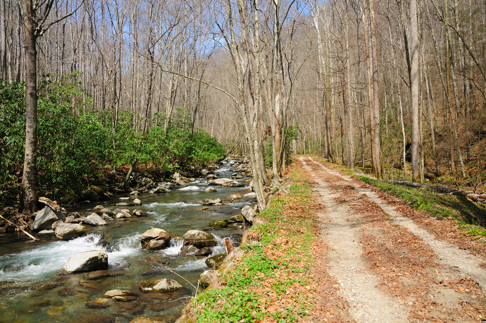 bradley fork trail