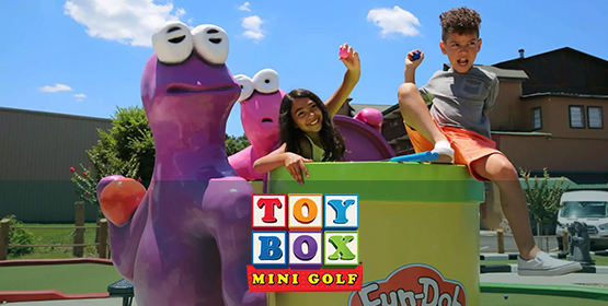 Toy Box Mini Golf