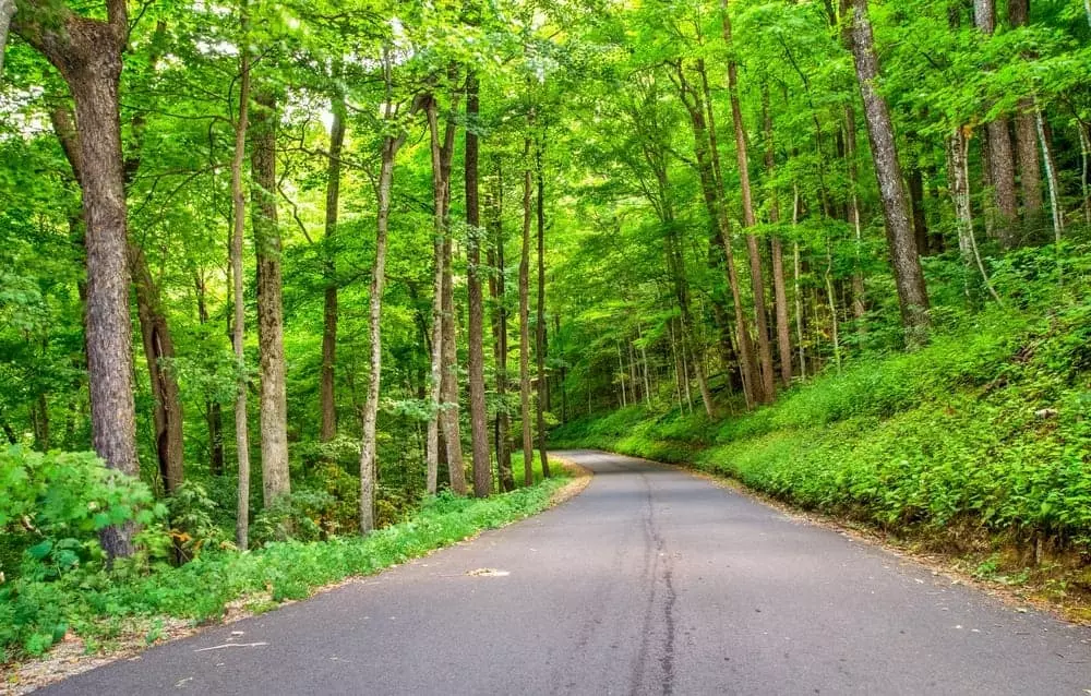 road in the smoky mountains