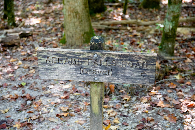 abrams falls trail