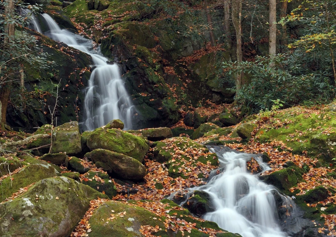 mouse creek