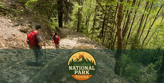 National Park Tours