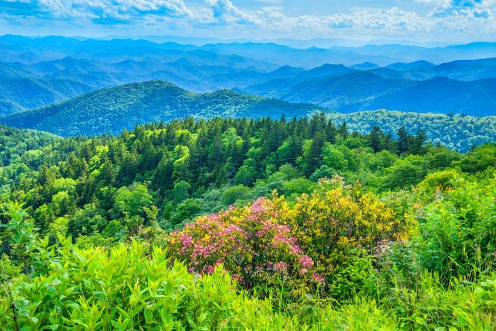 nature therapy in the smoky mountains