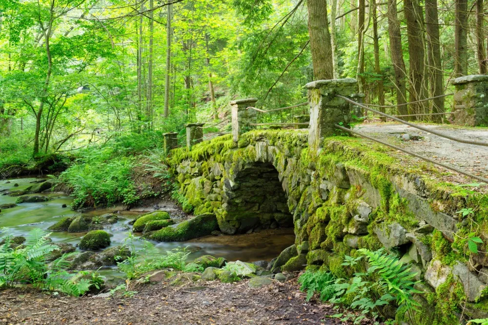 elkmont nature trail is one of the best kid friendly Smoky Mountain hiking trails