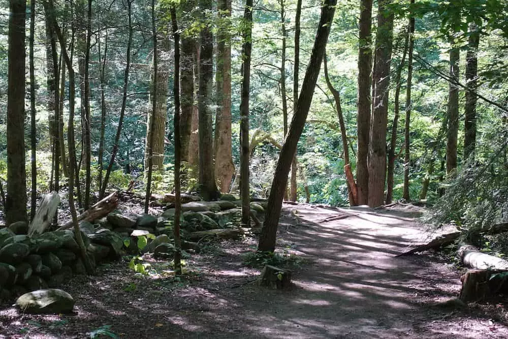 Gatlinburg Trail 