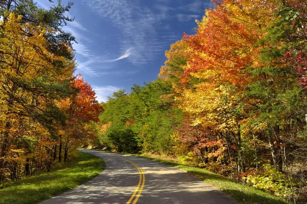 smoky mountain road in the fall