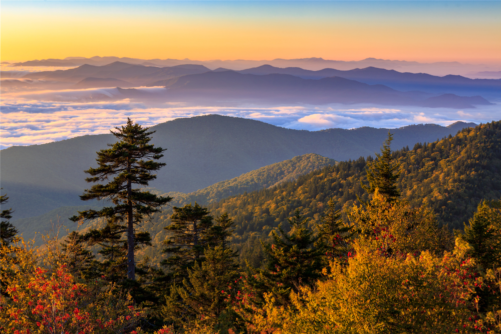 fall in the smokies foliage at kuwohi