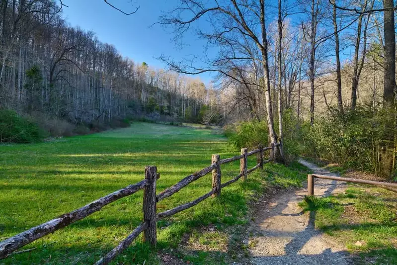 hiking trail in Pisgah National Forest