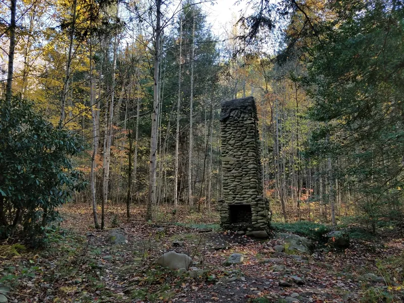 unique sites gsmnp