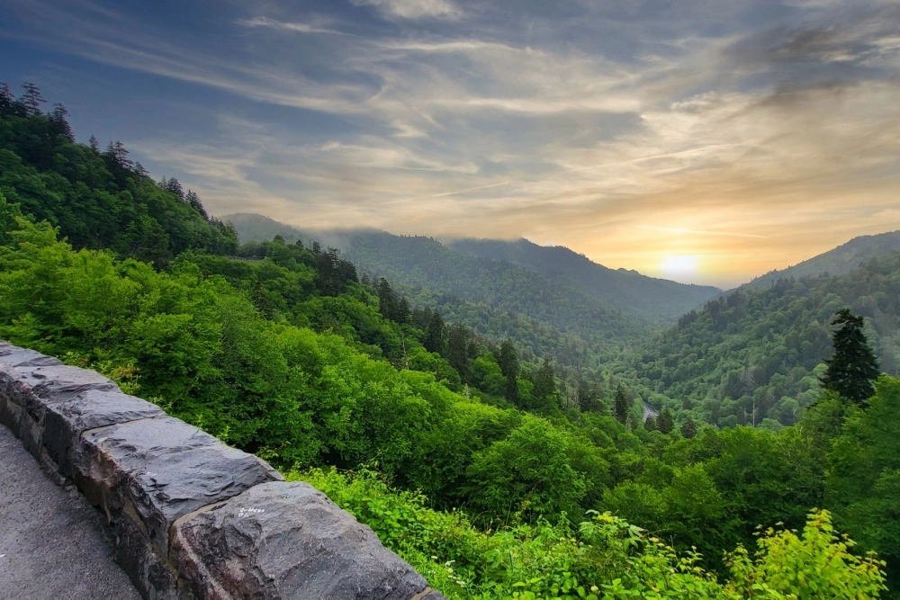 view from Newfound Gap Road