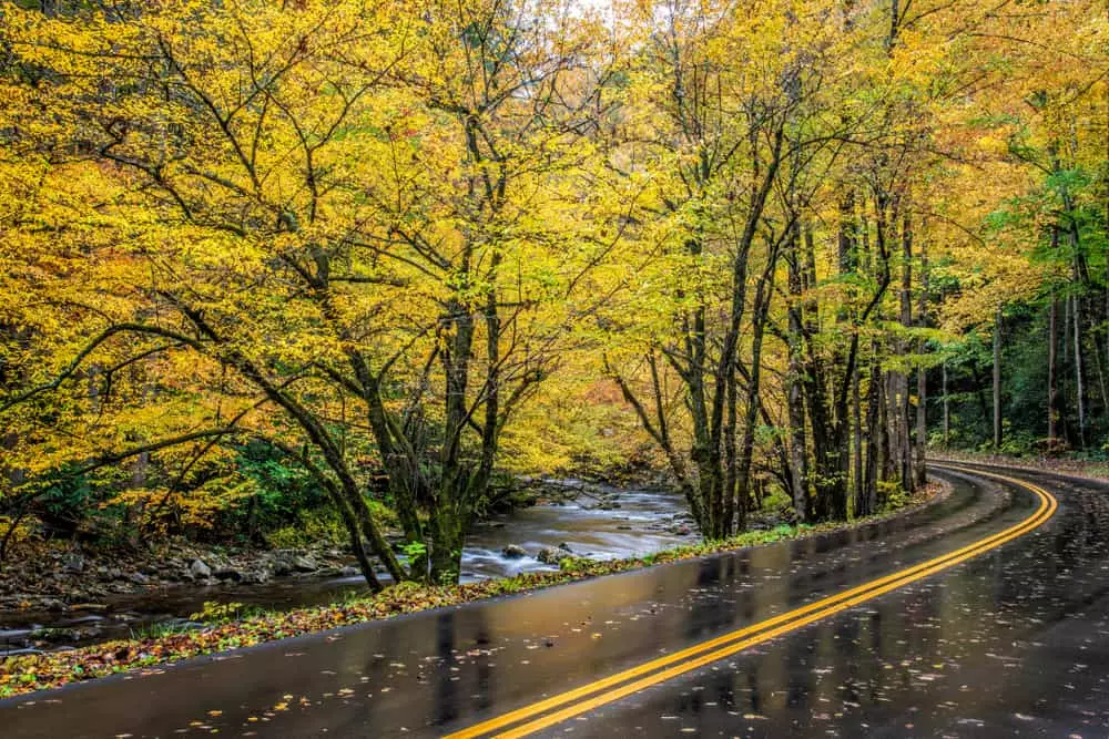little river road